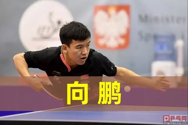 的双重效果 的双重效果