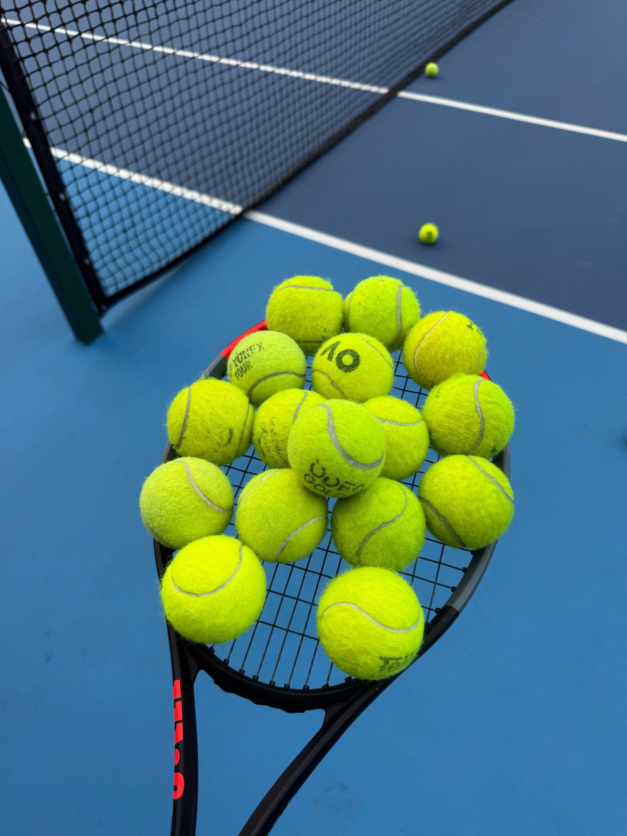 河床主帅的 河床主帅的